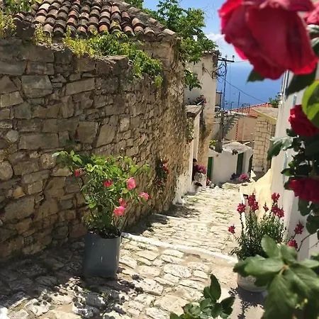 Hotel Arvi Boutique *