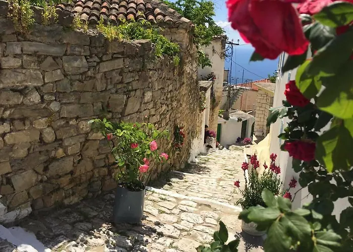 Hotel Arvi Boutique *